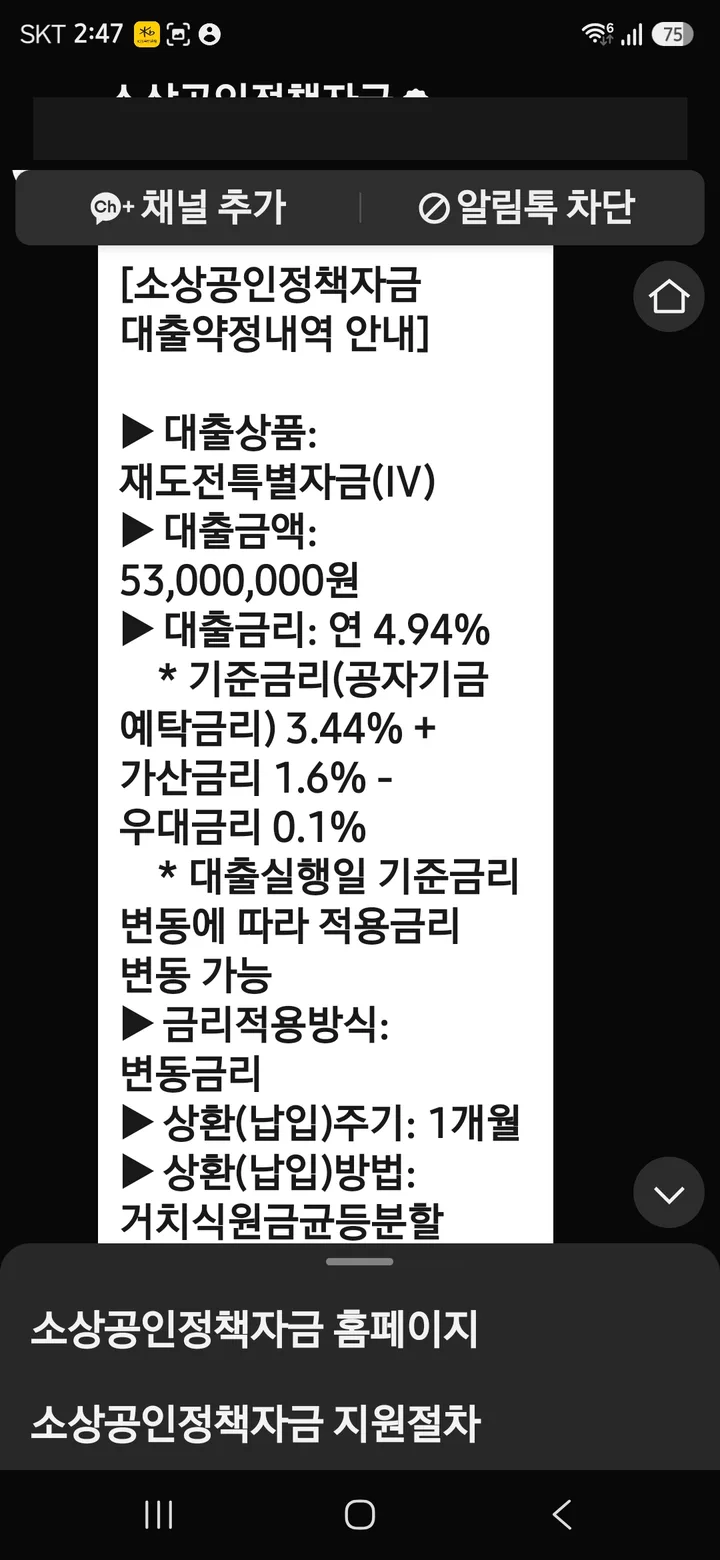 전북 유통업(온라인 도소매·이커머스) — 소상공인시장진흥공단 5,300만원 승인·약정 안내 캡처(가림 처리)